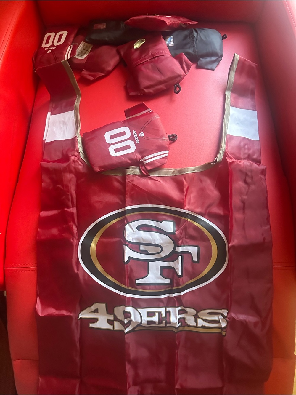 2 NFL Raiders Nylon Travel Bag•4 NFL 49ers with Holographic NFL Shield•